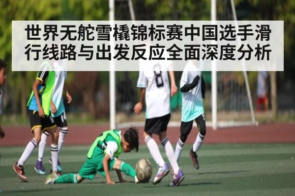 世界无舵雪橇锦标赛中国选手滑行线路与出发反应全面深度分析
